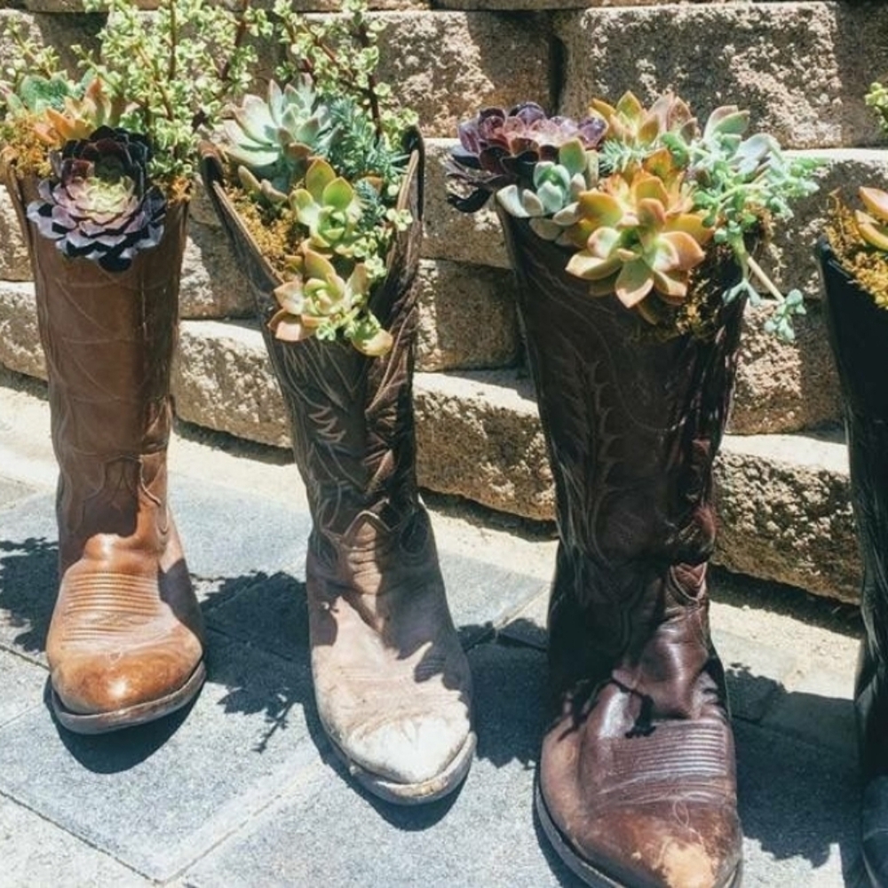 Wrangler Western Boots - Picture 10 of 16